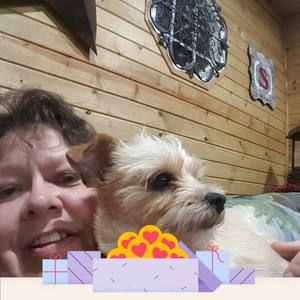 Meet your Posher, Pamela